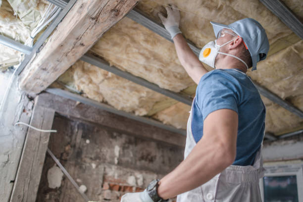 Best Specialty Insulation in Longwood, FL